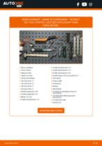 PDF manuel sur la maintenance de 304