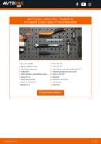 Cambio Generatore SUZUKI da soli - manuale online pdf