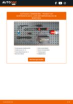 RIDEX 686S0024 für 307 (3A/C) | PDF Handbuch zum Wechsel