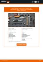 TEXTAR 92111500 per 307 (3A/C) | PDF istruzioni di sostituzione