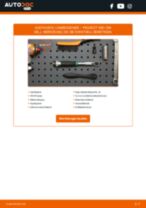 PEUGEOT Nox Sensor diesel und universal wechseln - Online-Handbuch PDF