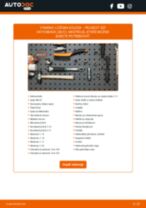 PDF návod na výmenu: Lozisko kolesa PEUGEOT 307 (3A/C) zadné a predné
