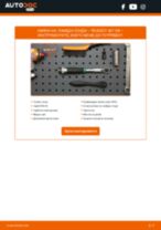 DENSO DOX-0119 за 407 SW (6E_) | PDF ръководство за смяна