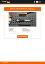 Самостоятелна смяна на задни и предни Тампон на двигател на PEUGEOT - онлайн ръководства pdf