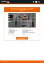 Manual de sustitución para TOLEDO del 2011 gratuito en PDF
