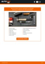 Cambio Batteria AGM, EFB, GEL OPEL MERIVA: guida pdf