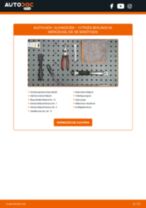 Peugeot Partner Combispace 5F Ansaugluftkühler: Online-Handbuch zum Selbstwechsel