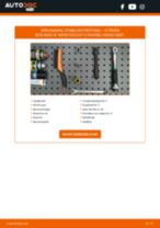 Tutorial PDF over reparatie van BERLINGO