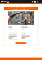 Gebührenfreies Austauschhandbuch für den FIESTA 2014 im PDF-Format