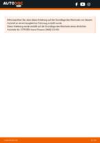 BREMBO 09.8695.75 für Berlingo / Berlingo First (MF, GJK, GFK) | PDF Handbuch zum Wechsel
