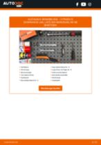 TEXTAR 2395419014 für C2 Schrägheck (JM) | PDF Handbuch zum Wechsel