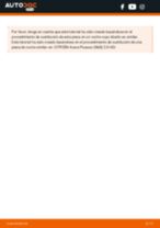 Manual de sustitución para BERLINGO del 2014 gratuito en PDF