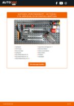 AUTOMEGA 110078310 für TOURAN (1T3) | PDF Handbuch zum Wechsel