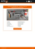BREMBO 23554 für Golf IV Van (1J1) | PDF Anleitung zum Wechsel