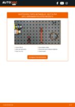 Cambio Antinieblas delanteras y traseras SEAT bricolaje - manual pdf en línea
