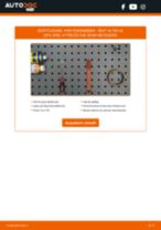 Quando cambiare Fanali fendinebbia SEAT ALTEA XL (5P5, 5P8): manuale pdf
