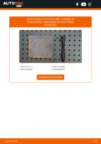Cómo cambiar: filtros de aire - CITROËN ZX Familiar (N2) | Guía de sustitución
