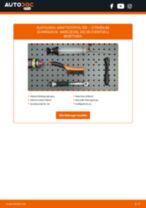 PURFLUX CS178A für BX (XB-_) | PDF Handbuch zum Wechsel