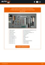 Cómo cambiar y ajustar Amortiguador CITROËN BERLINGO: tutorial pdf