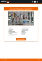 TEXTAR 91052900 für BERLINGO (B9) | PDF Handbuch zum Wechsel