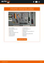 PDF manuel sur la maintenance de C2 3/5 portes (JM) 1.4 16V