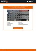 Quando cambiare Alzavetri elettrici CITROËN BERLINGO Box (M_): manuale pdf