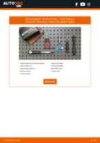 Changing Spark Plug FORD C-MAX: workshop manual