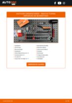 RENAULT Stabilisatorlager wechseln - Online-Handbuch PDF