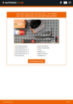 STARK SKOF-0860011 für PANDA Van (169) | PDF Handbuch zum Wechsel