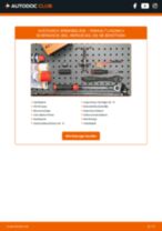 BOSCH E190R011078860 für LAGUNA II (BG0/1_) | PDF Handbuch zum Wechsel