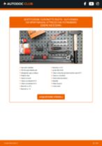 Come cambiare Cinghia servizi ABARTH 500 / 595 / 695 - manuale online