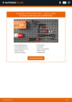 LiteAce M30 2.0 D (CM30LG) Handbuch zur Fehlerbehebung