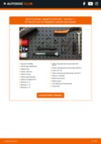 SLK R171 Ammortizzatori sostituzione: tutorial PDF passo-passo