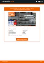 Cambio Intercooler HONDA 800: guida pdf