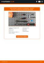 Cambiare Kit Revisione Pinze Freno PEUGEOT 206: manuale tecnico d'officina
