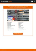 RIDEX 654W0885 pour 206 CC (2D) | PDF tutoriel de changement