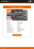 PEUGEOT Schraubenfeder hinten links rechts wechseln - Online-Handbuch PDF
