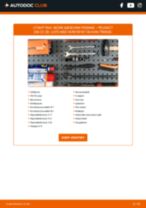 Bytte Hovedlyskaster Pære Xenon og LED ALPINA B3 Estate (E91): handleiding pdf