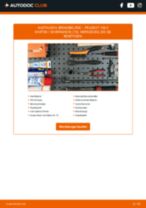 BREMBO D3717261 für 106 II Kasten / Schrägheck (1S_) | PDF Handbuch zum Wechsel