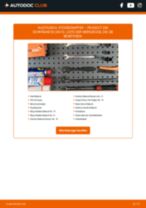 VAICO V42-0345 für 206 Schrägheck (2A/C) | PDF Handbuch zum Wechsel