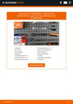 VAICO V42-0345 für 206+ Schrägheck (2L_, 2M_) | PDF Handbuch zum Wechsel