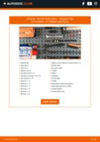 PDF návod na výmenu: Pružina PEUGEOT 306 sikma zadna cast (7A, 7C, N3, N5) zadné a predné