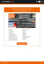 Schritt-für-Schritt-PDF-Tutorial zum Bremssattel Reparatursatz-Austausch beim Peugeot 206 2A/C