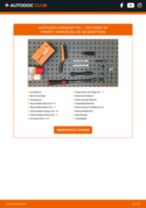Wie hinten links Bremszange auswechseln und einstellen: kostenloser PDF-Anleitung