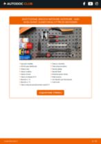 Cambio Kit cavi accensione LEXUS da soli - manuale online pdf