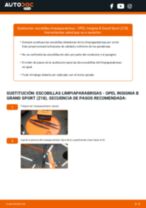 Cómo cambiar: escobillas limpiaparabrisas de la parte delantera - OPEL Insignia B Grand Sport (Z18) | Guía de sustitución