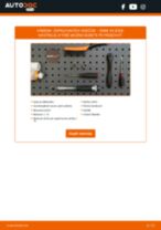 DENSO D20 pre X3 (E83) | PDF návod na výmenu