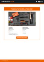 Wie Blinker Lampe RENAULT CLIO tauschen und einstellen: PDF-Tutorial