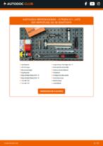 CITROËN C3 Reparaturhandbücher für professionelle Kfz-Mechatroniker und autobegeisterte Hobbyschrauber