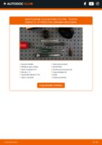 Citroen Xantia X1 Specchietti Retrovisori sostituzione: tutorial PDF passo-passo